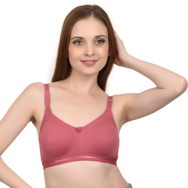 ARISTE Beautiful Body Fitter Bras | Dark Pink