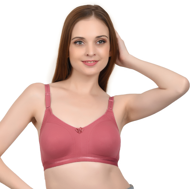 Buy Arousy Net Non Padded Wirefree Bra and Panty Set for Woman Online In  India At Discounted Prices